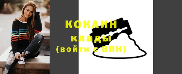 ПСИЛОЦИБИНОВЫЕ ГРИБЫ Щучье
