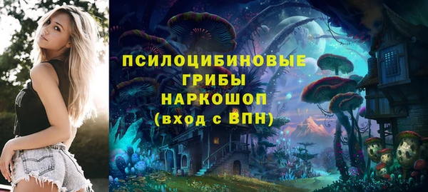 apvp Зеленокумск