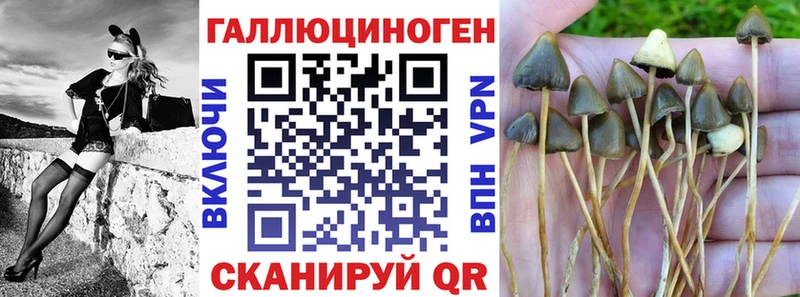 Псилоцибиновые грибы ЛСД закладки ОМГ ОМГ ONION Кашин
